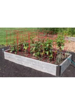 Pepper And Eggplant Cages, Set Of 3 -Gardener's Supply Sales 8587048 6008 3 4