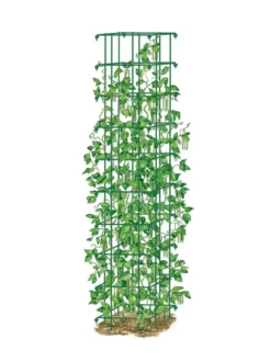 Bean Tower 11 Bean Tower -Gardener's Supply Sales 8587060 0008 GRN tif