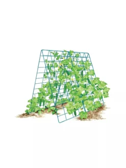 Deluxe Cucumber Trellis 15 Deluxe Cucumber Trellis -Gardener's Supply Sales 8587083 001 BLUE Cukes two sided deluxe cucumber trellis support storm blue 3 4