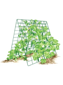 Deluxe Cucumber Trellis 14 Deluxe Cucumber Trellis -Gardener's Supply Sales 8587083 001 GRN tif