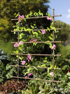 Jardin Ladder Trellis -Gardener's Supply Sales 8587107 083 tif
