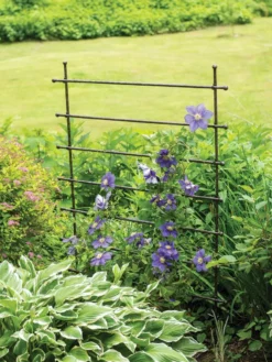 Jardin Ladder Trellis