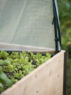 Planter Box, Frame And 2 Covers Kit, 2' X 4' 14 Planter Box, Frame And 2 Covers Kit, 2' X 4' -Gardener's Supply Sales 8587631 265 tif 3