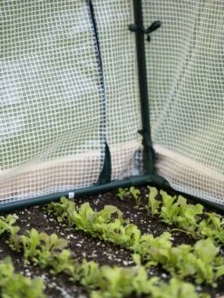 Protection Frame & Covers, 2' X 4' -Gardener's Supply Sales 8587631 271 tif 1