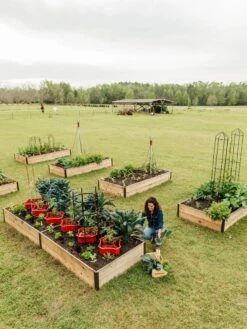 Deep Root Raised Beds, 14" Deep 4' Wide -Gardener's Supply Sales 8587813 505 tif