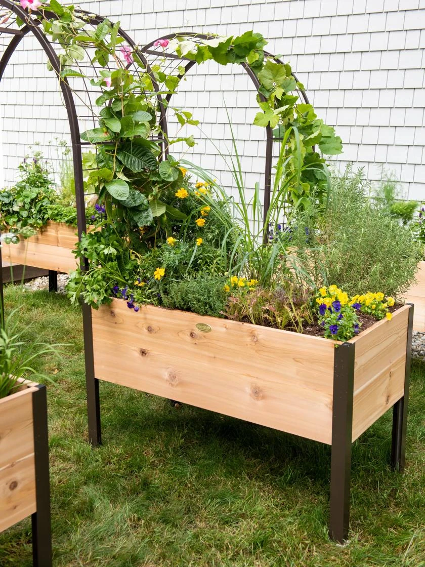 2’ X 4’ Arch Trellis For Planter Boxes 6 2’ X 4’ Arch Trellis For Planter Boxes - Image 6