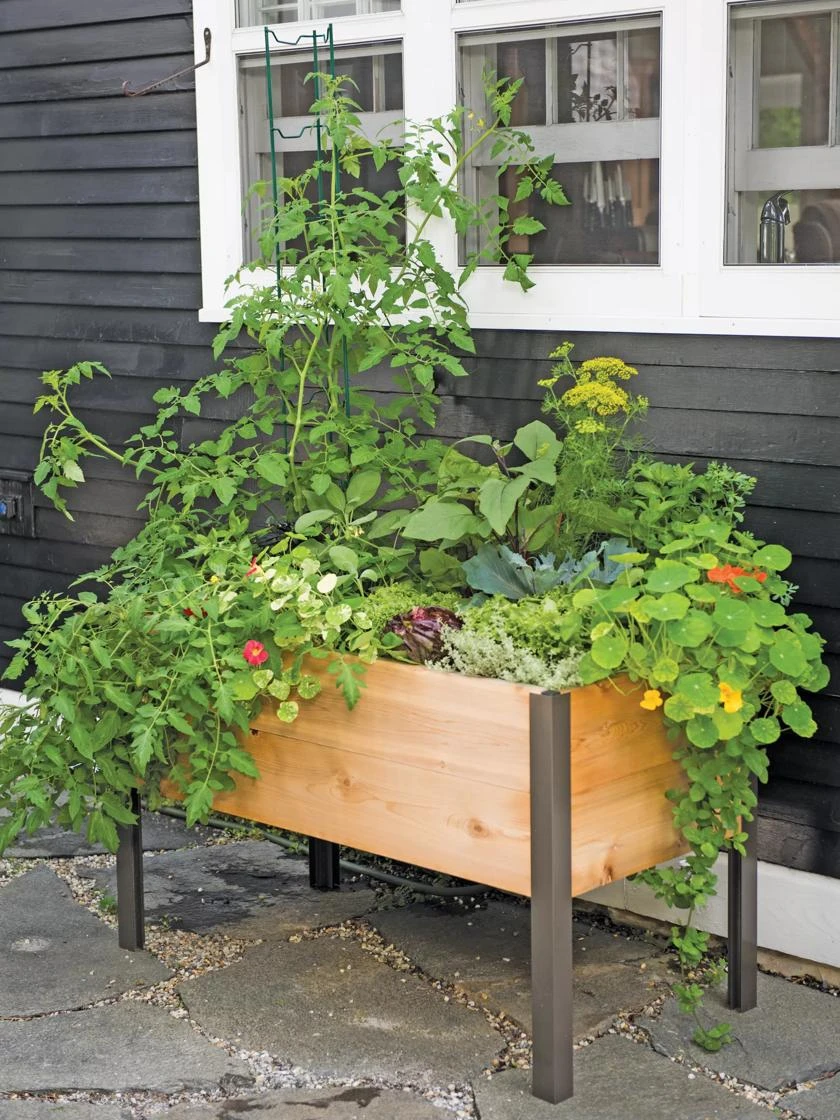 Elevated Planter Box, 2' X 4' 1 Elevated Planter Box, 2' X 4'