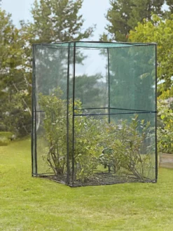 Crop Cage, 4' X 4' -Gardener's Supply Sales 8587832 149 tif