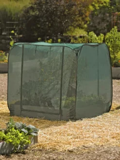 Pest Control Pop-Ups -Gardener's Supply Sales 8587859 026 tif