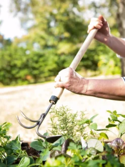 Gardener's Lifetime Raised Bed Cultivator 8 Gardener's Lifetime Raised Bed Cultivator -Gardener's Supply Sales 8587960 3527 tif