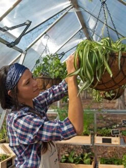 Canopia® By Palram Balance Greenhouse, 8' X 12' -Gardener's Supply Sales 8588023 07V jpg