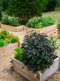 Farmstead Cedar Raised Garden Beds, 3' 8 Farmstead Cedar Raised Garden Beds, 3' -Gardener's Supply Sales 8588143 09V tif