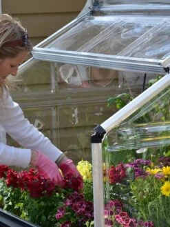 Canopia® By Palram Plant Inn™ Raised Bed Greenhouse, 4' X 4' 25 Canopia® By Palram Plant Inn™ Raised Bed Greenhouse, 4' X 4' -Gardener's Supply Sales 8588308 04V tif