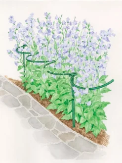 Tidy Path Supports -Gardener's Supply Sales 8588403 003 1