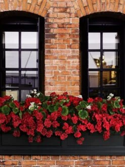 Fairfield Self-Watering Window Box, 5’ -Gardener's Supply Sales 8588938 102V tif