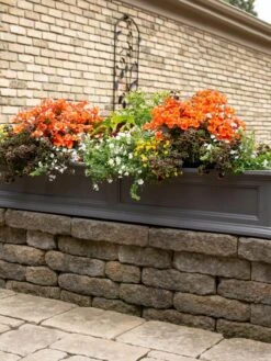 Fairfield Self-Watering Window Box, 5’ -Gardener's Supply Sales 8588938 105V tif