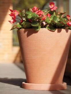 Universal Round Planter Saucers 7 Universal Round Planter Saucers -Gardener's Supply Sales 8589526 001V tif