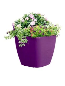 Viva Square Self-Watering Rolling Planter, 17.5" Diameter -Gardener's Supply Sales 8589778PR 6126 tif