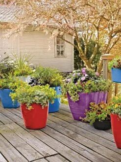 Viva Square Self-Watering Rolling Planter, 17.5" Diameter -Gardener's Supply Sales 8589778 09000 tif
