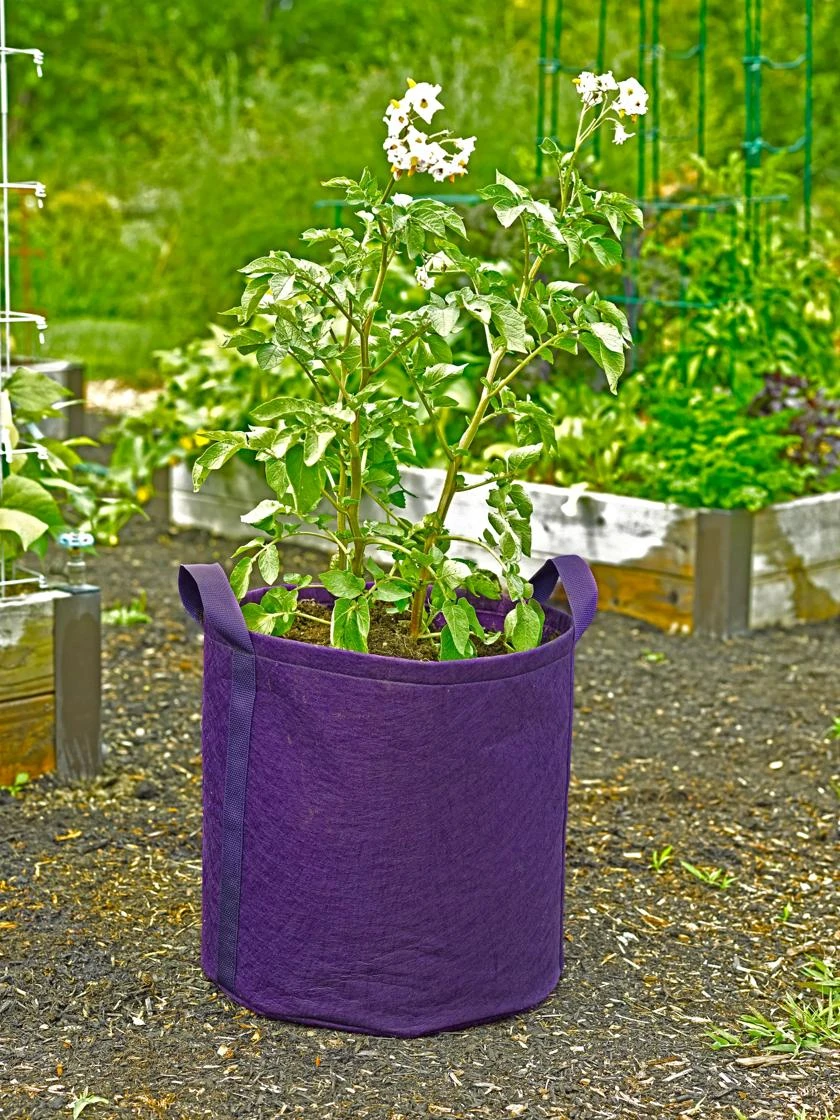 Gardener's Best® Potato Grow Bag 1 Gardener's Best® Potato Grow Bag
