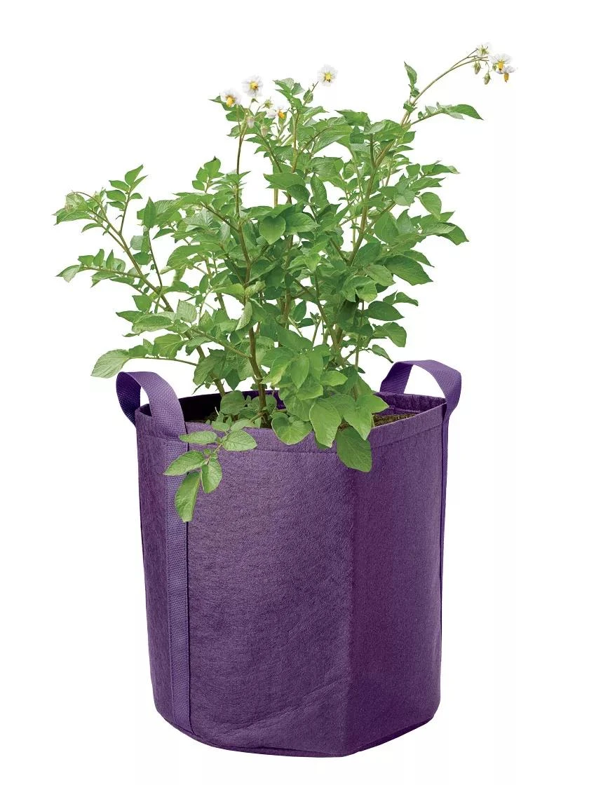 Gardener's Best® Potato Grow Bag 2 Gardener's Best® Potato Grow Bag - Image 2