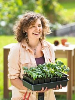 Growease Seed Starter Kit 16 Growease Seed Starter Kit -Gardener's Supply Sales 8589987 0446 tif