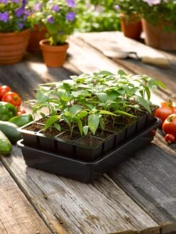 Growease Seed Starter Kit 14 Growease Seed Starter Kit -Gardener's Supply Sales 8589987 1148 tif