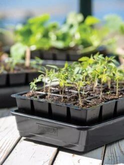 Gardener's Supply Sales -Gardener's Supply Sales 8589987 7874 tif