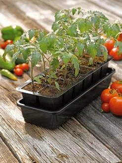 Growease Seed Starter Kit 13 Growease Seed Starter Kit -Gardener's Supply Sales 8589988 1056 tif