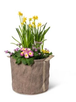 Gardener's Best® Universal Grow Bag -Gardener's Supply Sales 8590024 7307 tif