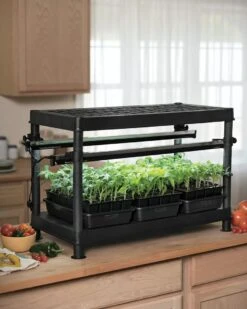 Stack-n-Grow Lights - Base Unit