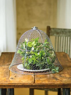 Chicken Wire Cloche -Gardener's Supply Sales 8590210 1 tif