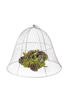 Chicken Wire Cloche -Gardener's Supply Sales 8590210 675 tif