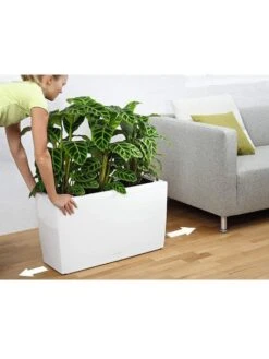 Lechuza® Cararo Rectangular Indoor Planter With Casters 8 Lechuza® Cararo Rectangular Indoor Planter With Casters -Gardener's Supply Sales 8590295 03v