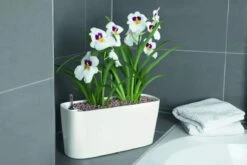 Lechuza® Delta Self-Watering Windowsill Planters -Gardener's Supply Sales 8590298 01V tif