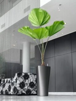 Lechuza® Delta Premium Self-Watering Planters -Gardener's Supply Sales 8590299 02V tif