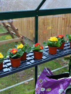 Canopia® By Palram Shelf Kit For Greenhouses, Set Of 2 Shelves 12 Canopia® By Palram Shelf Kit For Greenhouses, Set Of 2 Shelves -Gardener's Supply Sales 8591033 09V jpg