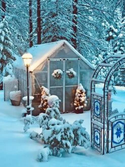 Canopia® By Palram Harmony™ Snap & Grow Greenhouse, 8' -Gardener's Supply Sales 8591048 06V jpg