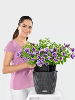 Lechuza® Nido Cottage Wicker Hanging Planter -Gardener's Supply Sales 8591154GT 006V tif