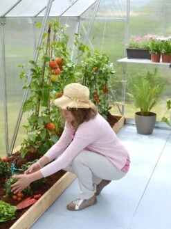 Canopia® By Palram Essence™ Greenhouse, 8' X 12' -Gardener's Supply Sales 8591356 04V tif