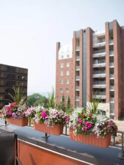 Adjustable Self-Watering Railing Planter, 24" -Gardener's Supply Sales 8592173TC 2383 tif