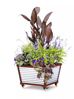 Galvanized Self-Watering Planters 7 Galvanized Self-Watering Planters -Gardener's Supply Sales 8592176 5067 tif