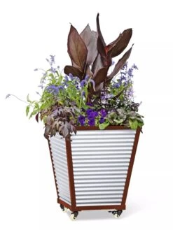 Galvanized Self-Watering Planters 8 Galvanized Self-Watering Planters -Gardener's Supply Sales 8592177 5066 tif