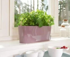 Lechuza® Delta Self-Watering Windowsill Planters -Gardener's Supply Sales 8592361 01V tif