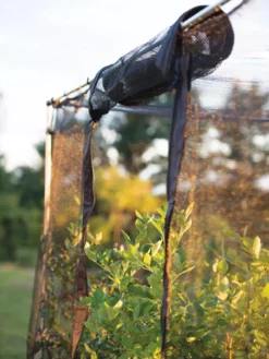 Storm Proof Crop Cage, Large -Gardener's Supply Sales 8592463 115 tif