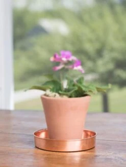 Extra Small Round Copper Plant Tray, 8" 12 Extra Small Round Copper Plant Tray, 8" -Gardener's Supply Sales 8593528 4522 tif
