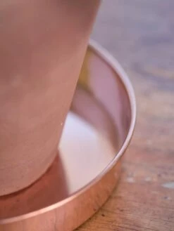 Extra Small Round Copper Plant Tray, 8" 9 Extra Small Round Copper Plant Tray, 8" -Gardener's Supply Sales 8593528 4529 tif