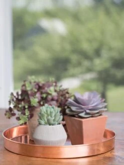 Large Round Copper Plant Tray, 14" -Gardener's Supply Sales 8593531 4518 tif