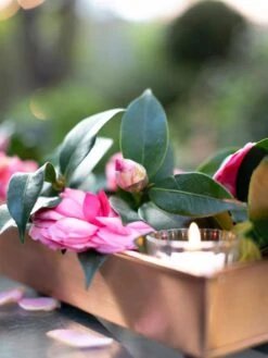 Rectangular Copper Plant Tray, 18"x4" 7 Rectangular Copper Plant Tray, 18"x4" -Gardener's Supply Sales 8593532 02IN tif