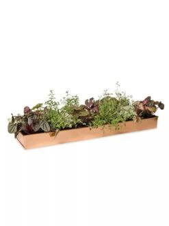 Rectangular Copper Plant Tray, 24" X 5" 9 Rectangular Copper Plant Tray, 24" X 5" -Gardener's Supply Sales 8593533 2878 tif
